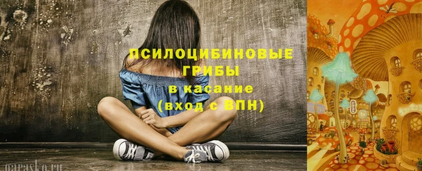 твердый Балахна